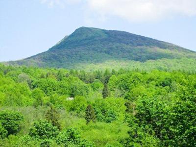 Caloroczne Domki Zacisze Hnatowego Berda W Wetlinie Ветлина Екстериор снимка