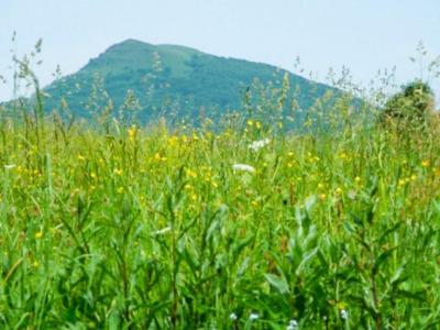 Caloroczne Domki Zacisze Hnatowego Berda W Wetlinie Ветлина Екстериор снимка